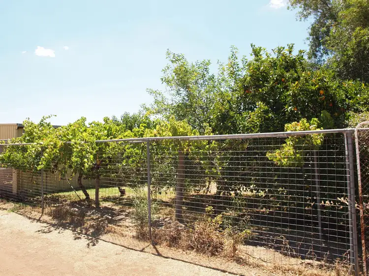 Fifth view of Homely rural property listing, - Springvale, Weethalle NSW 2669