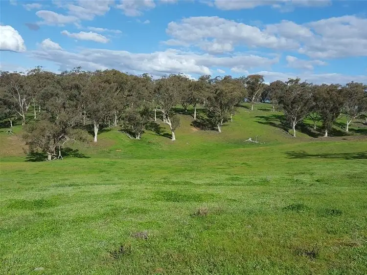 Seventh view of Homely rural property listing, 3142 Lue Road, Mudgee NSW 2850