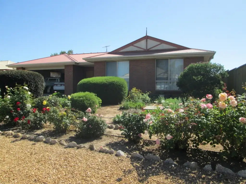 Main view of Homely house listing, 17 Gardiner Street, Wellington East SA 5259