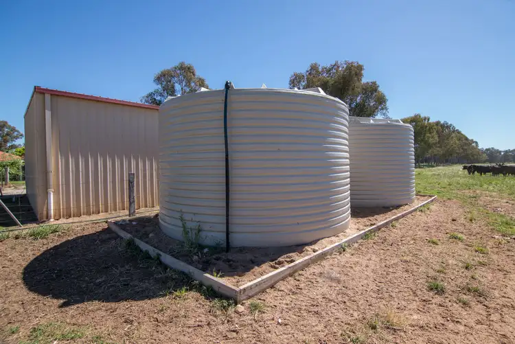 Fifth view of Homely rural property listing, 436 Spring Creek Road, Gulgong NSW 2852