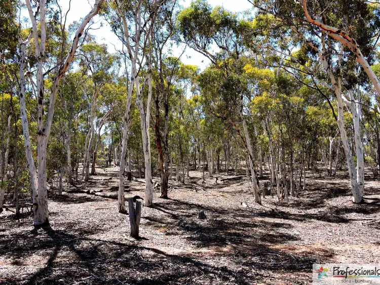 Seventh view of Homely rural property listing, Lot 6156 Wandering North Rd, Pingelly WA 6308