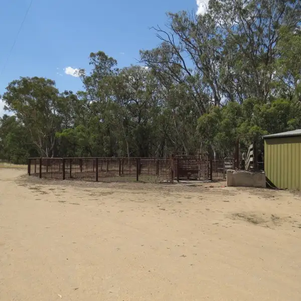 Sixth view of Homely rural property listing, 6480 Barham/Deniliquin Road, Barham NSW 2732