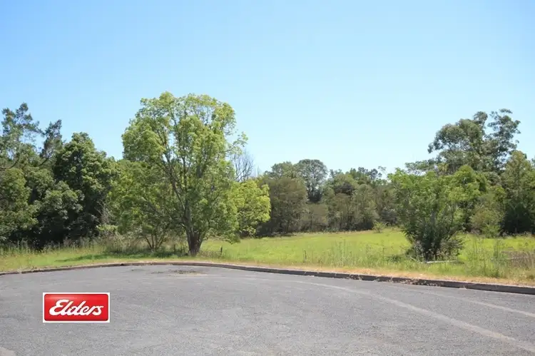 49-51 Primrose Street, Wingham NSW 2429