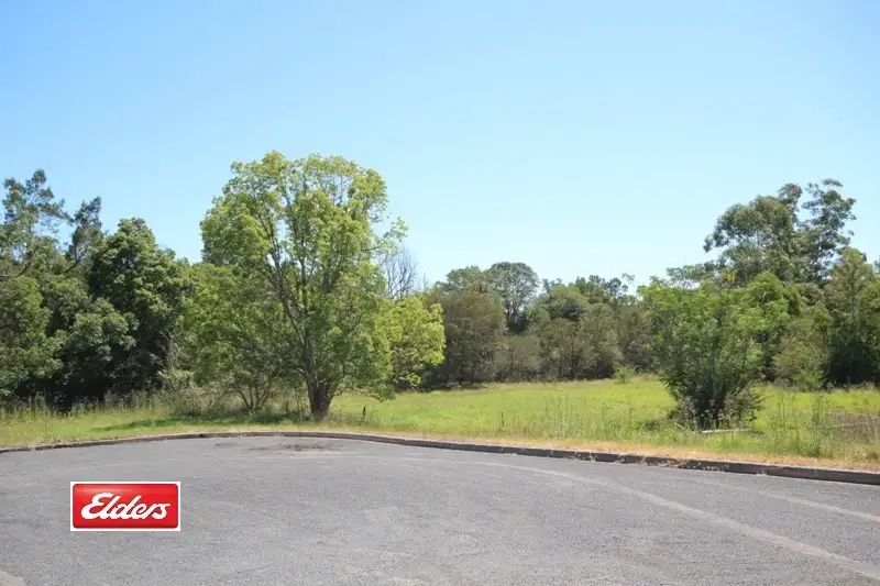 Main view of Homely land listing, 49-51 Primrose Street, Wingham NSW 2429