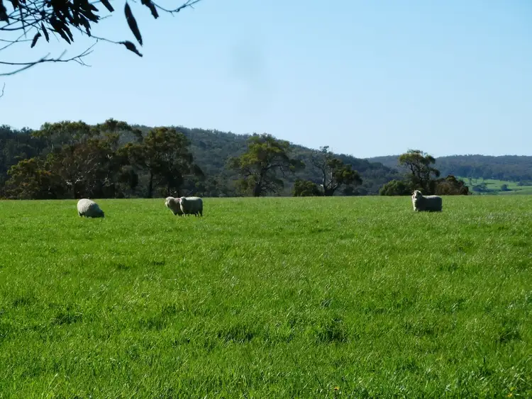 Sixth view of Homely rural property listing, Lot 16 Racecourse Road, Cape Clear VIC 3351