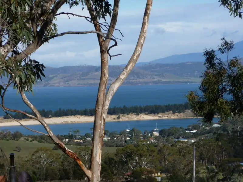 Main view of Homely land listing, Lot 1 Gilling Brook Road, Forcett TAS 7173