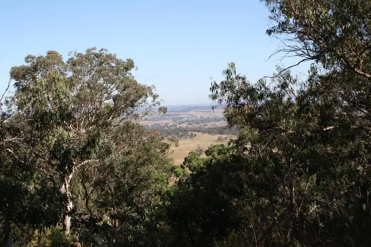 Second view of Homely rural property listing, 355 Gordons Gully Road, Mudgee NSW 2850