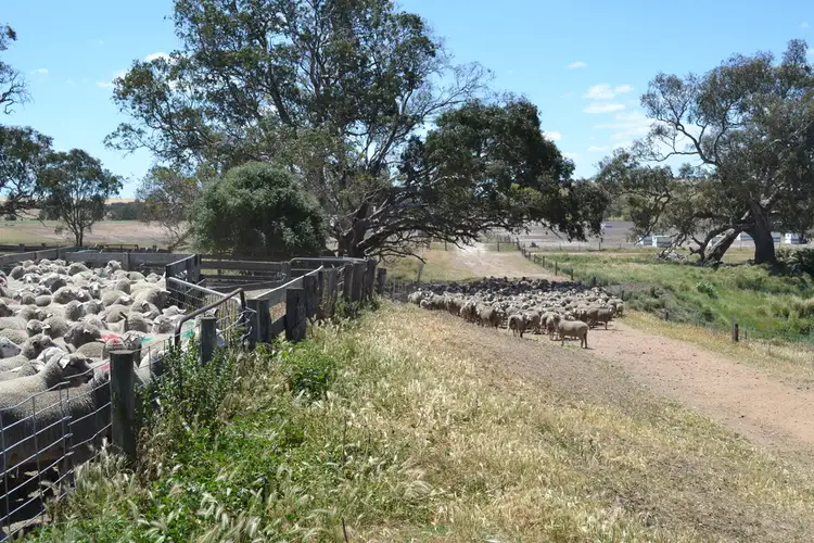 Third view of Homely rural property listing, 873 Willaura-Wickliffe Road, Willaura VIC 3379