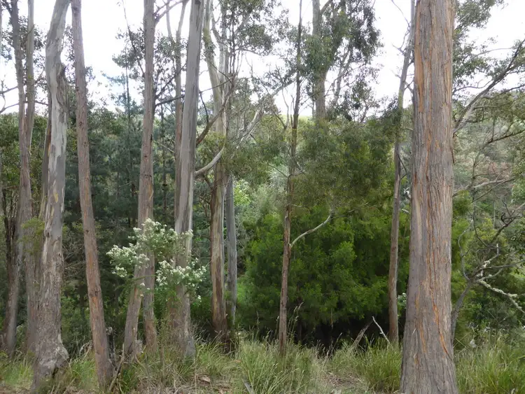 Sixth view of Homely land listing, Lot 1 The Avenue, Ellendale TAS 7140
