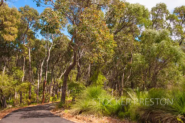 Lot 103 Bluebell Place, Margaret River WA 6285