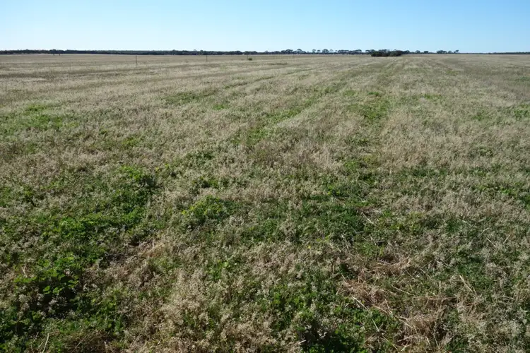 Third view of Homely rural property listing, 580 Magagnotti Road, Salmon Gums WA 6445