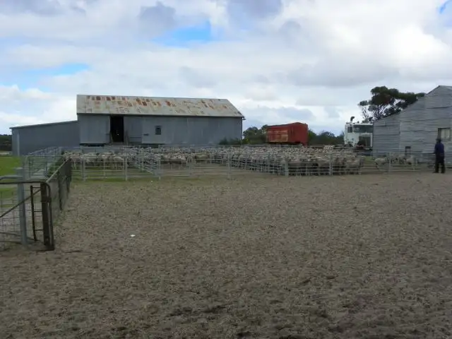Fourth view of Homely rural property listing, 'Sarlog Farm' Foster Road, Ongerup WA 6336