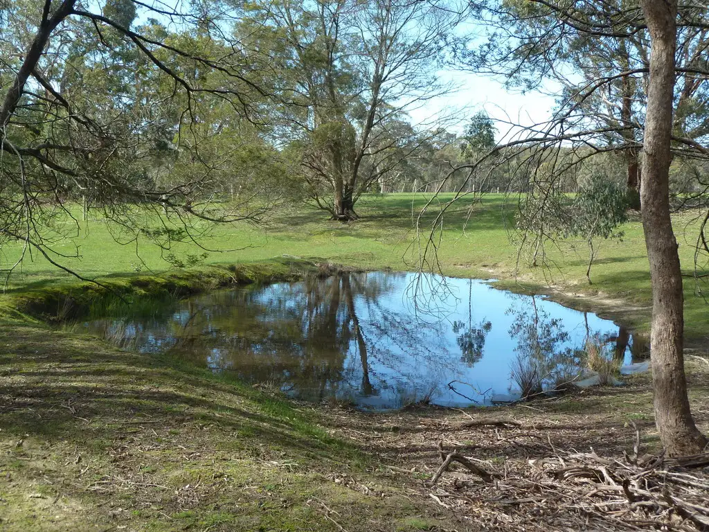 Main view of Homely land listing, 253 Baldwins Road, Trawalla VIC 3373