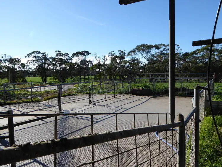 Seventh view of Homely rural property listing, 314 Rollos Road, Naringal VIC 3277