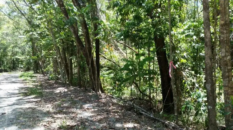 Fifth view of Homely land listing, Lot 10 Andrew Road, Forest Creek,, Daintree QLD 4873