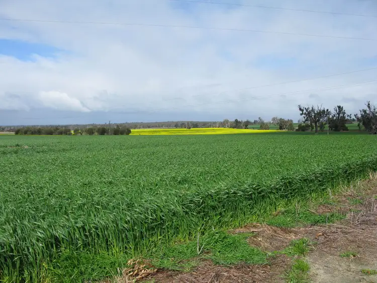 Main view of Homely rural property listing, 26860 Albany Highway, Cranbrook WA 6321