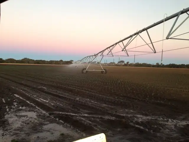 Second view of Homely rural property listing, Sec 14 East West One Hwy, Parndana SA 5220