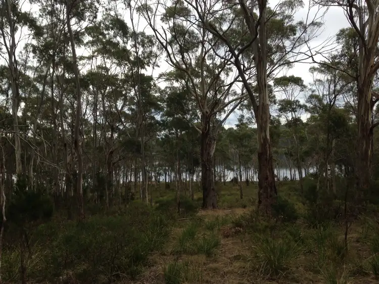 Fifth view of Homely land listing, Lot 2 / 134 Power Rd Nth Bruny, Bruny Island TAS 7150