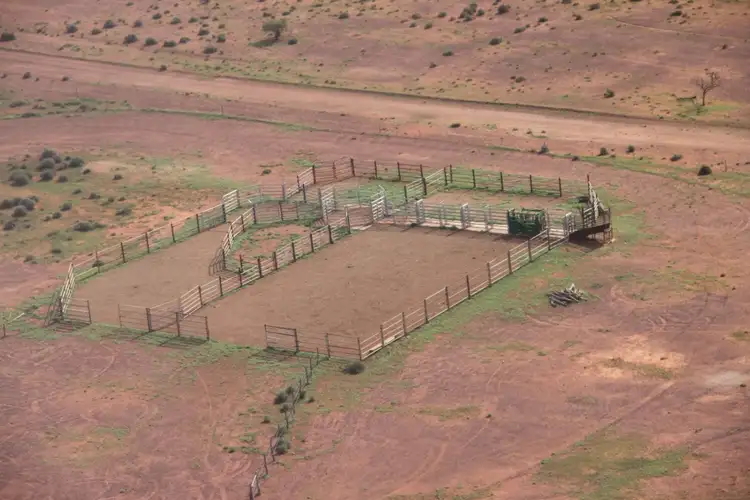 Fifth view of Homely rural property listing, * Mt Eba Station via, Woomera SA 5720