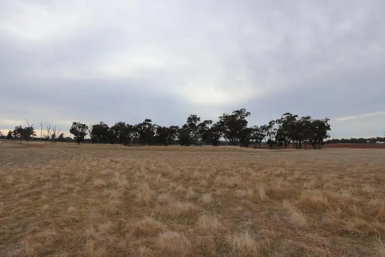 Seventh view of Homely rural property listing, Address available on request