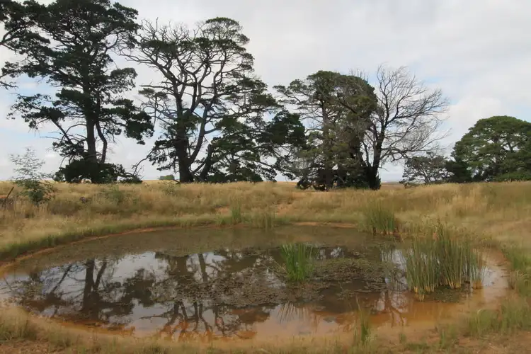 Seventh view of Homely house listing, 209 Davis Road, Berringa VIC 3351