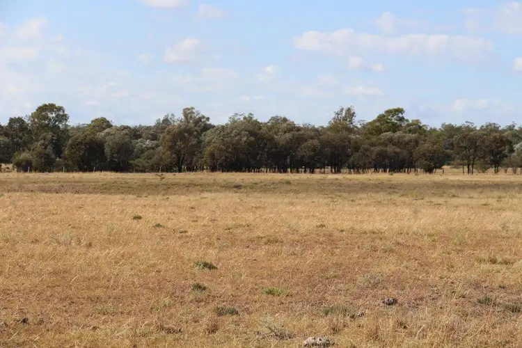 Fifth view of Homely rural property listing, 0 Boondandilla  Rd, Goondiwindi QLD 4390