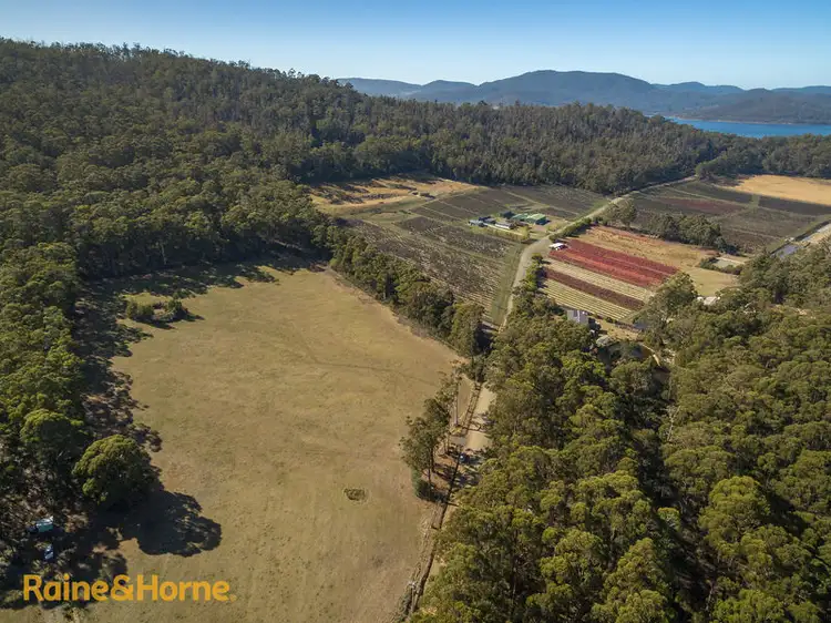 Sixth view of Homely land listing, Lot 4 Cygnet Coast Road, Lymington TAS 7109