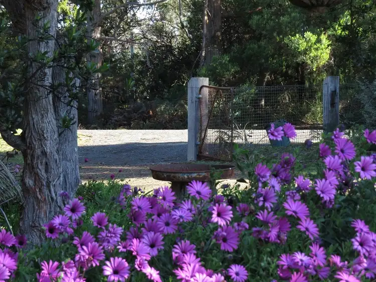 Fourth view of Homely house listing, 1855 Bruny Island Main Road Great Bay, Bruny Island TAS 7150