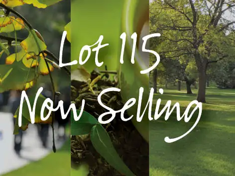 Main view of Homely land listing, Lot 115 Cervantes Avenue, Baldivis WA 6171