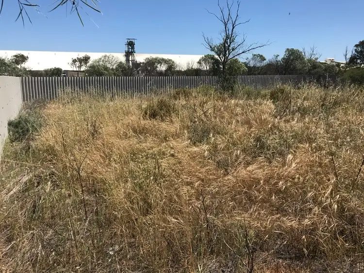 7 Lauder Street, Binnu WA 6532