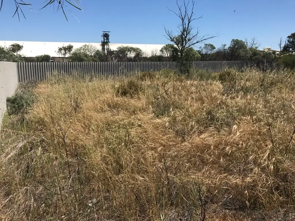 Main view of Homely land listing, 7 Lauder Street, Binnu WA 6532