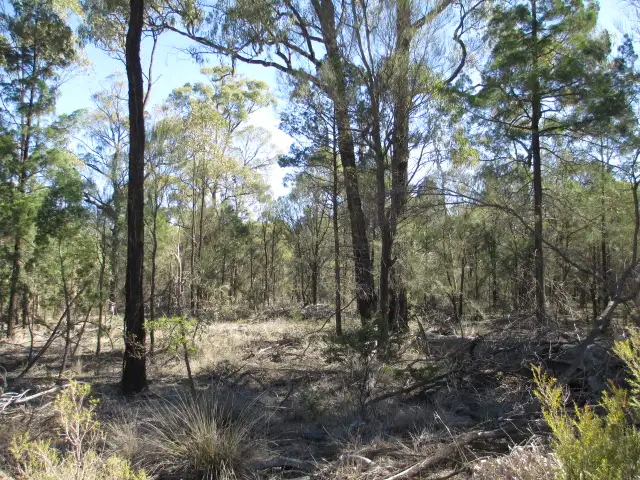 Lot 302 HAPPINESS ROAD, Tara QLD 4421