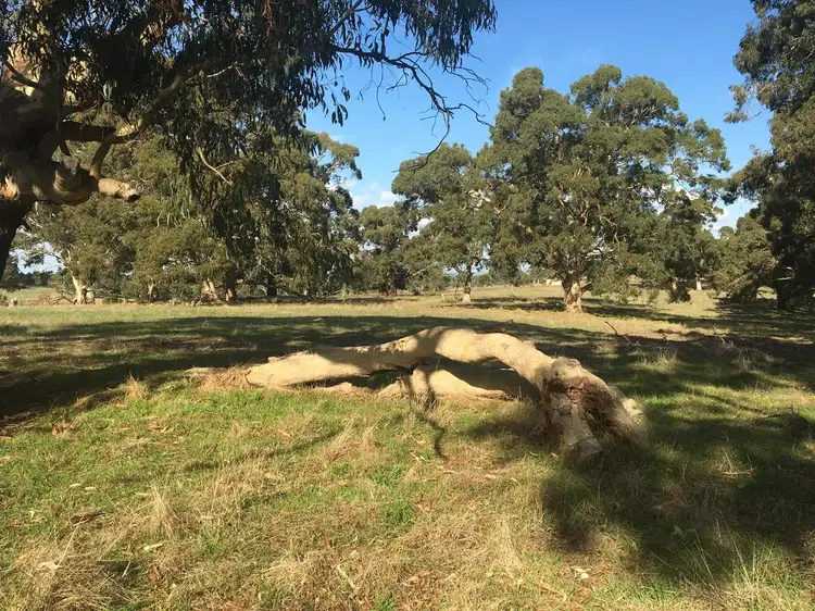 Third view of Homely rural property listing, Section 1449 Archer Hill Road, Bugle Ranges SA 5251