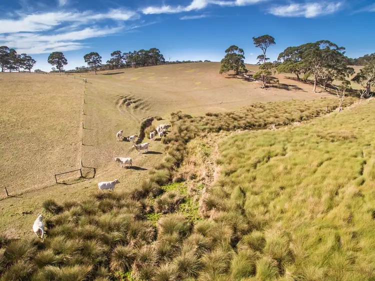 Main view of Homely rural property listing, 593 (A15) Flaxley Road, Echunga SA 5153