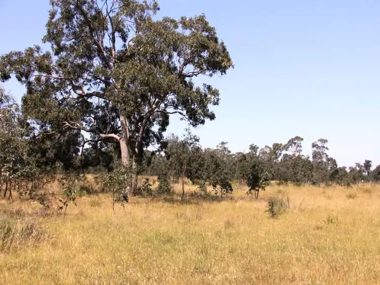 Seventh view of Homely rural property listing, Lot 12 Cochranes Road, Seaspray VIC 3851