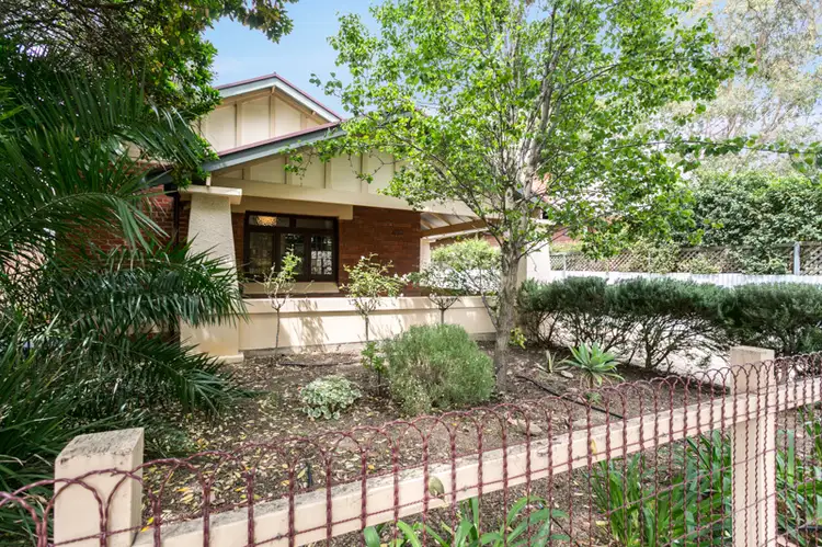 13 Olive Street, Parkside SA 5063