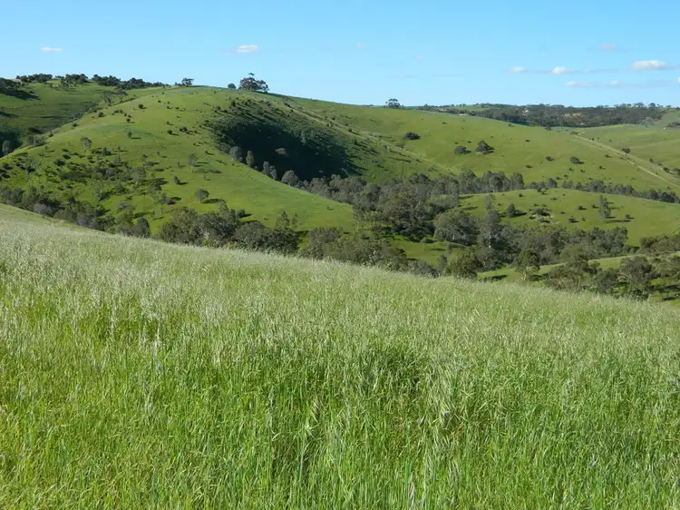 Main view of Homely land listing, Lots 36 & 40 Riggs Road, Bibaringa SA 5118