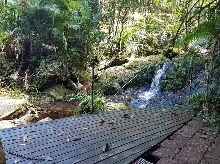 95 Ironbark Road, Daintree QLD 4873