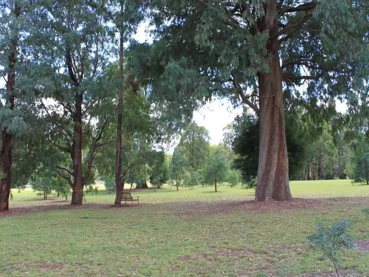 Seventh view of Homely rural property listing, Lot 19 Lochinvah-Feeder Road, Laurel Hill NSW 2649