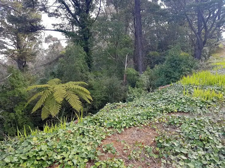Main view of Homely land listing, 29 Warialda Street, Katoomba NSW 2780
