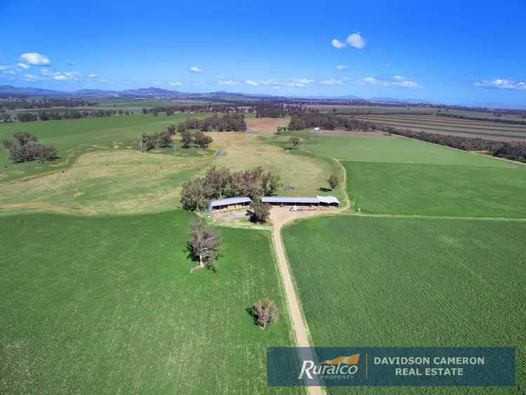 Sixth view of Homely rural property listing, Duntroon 348 Loomberah Road, Tamworth NSW 2340