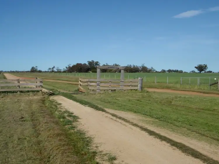 Fifth view of Homely rural property listing, 265 Southdown Road, Deniliquin NSW 2710