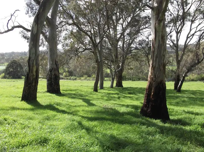 Second view of Homely land listing, 24 Onkaparinga Valley Road, Birdwood SA 5234