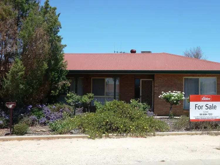 Main view of Homely house listing, 20 Hall Crescent, Loxton SA 5333