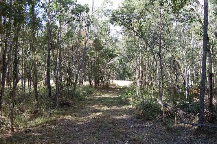 Second view of Homely rural property listing, 6407 Summerland Way, Camira NSW 2469