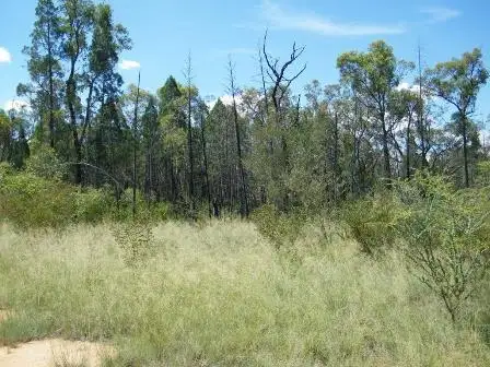Fourth view of Homely land listing, Lot 6 Premer, Premer NSW 2381