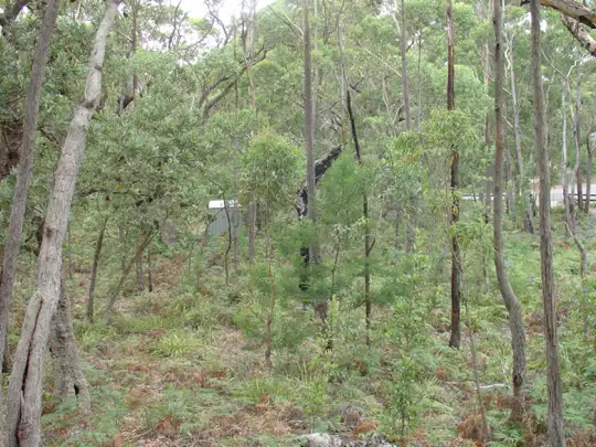 Sixth view of Homely land listing, 10 Sandgroper Crescent, Lake Conjola NSW 2539