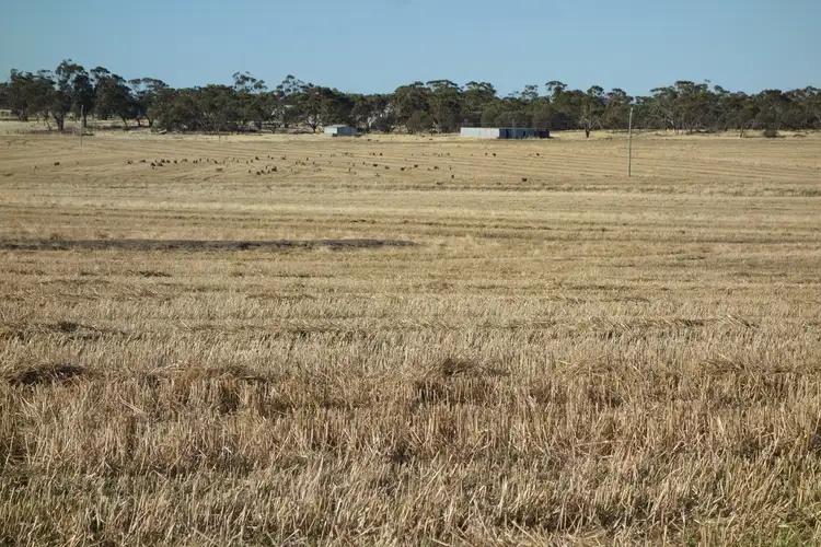 140 Yenellin Road, Pingelly WA 6308