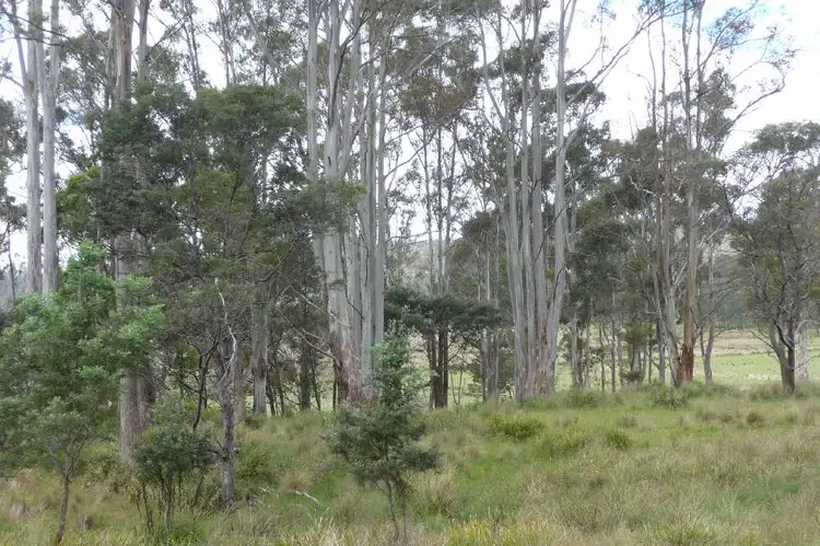 Sixth view of Homely rural property listing, 39009 Tasman Highway, Nunamara TAS 7259