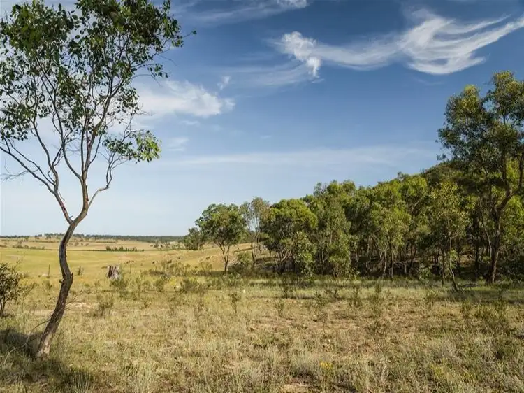Western Block Cudgegong Road, Rylstone NSW 2849